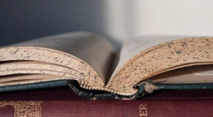 AI Tools for Research Students: A Clear Path for Beginners