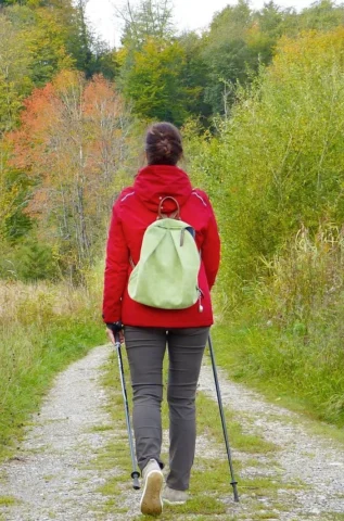 Living Alone for the First Time Tips: A More Balanced Daily Routine