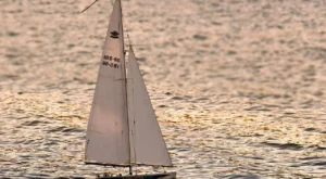 Productive Habits for Remote Workers: A More Balanced Daily Routine